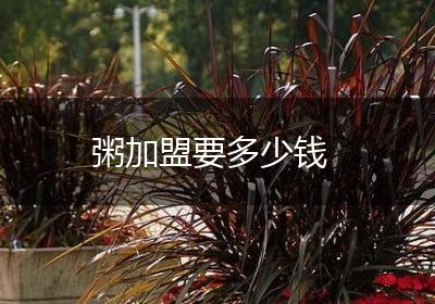 粥加盟要多少钱