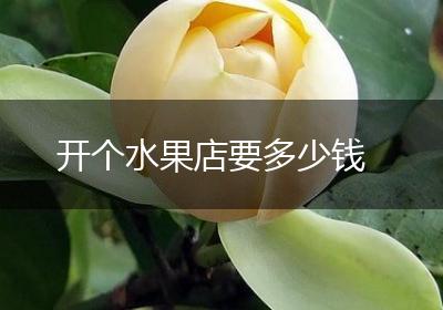 开个水果店要多少钱