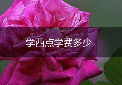 学西点学费多少