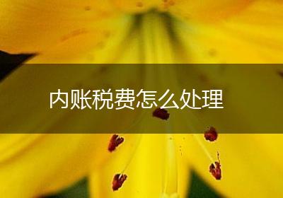 内账税费怎么处理
