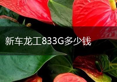 新车龙工833G多少钱