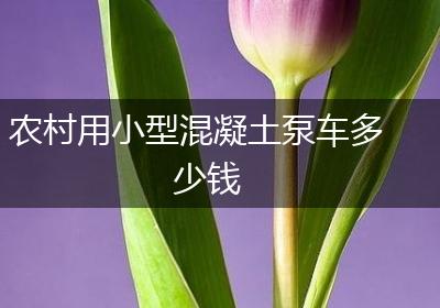 农村用小型混凝土泵车多少钱