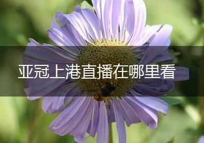 亚冠上港直播在哪里看