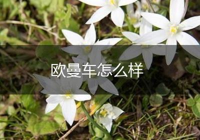 欧曼车怎么样