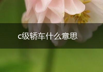c级轿车什么意思