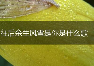 往后余生风雪是你是什么歌
