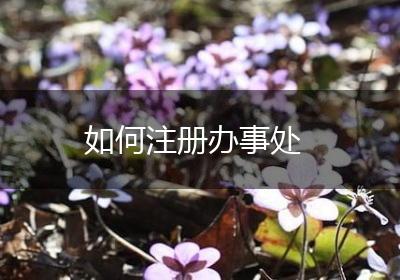 如何注册办事处