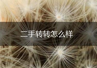 二手转转怎么样