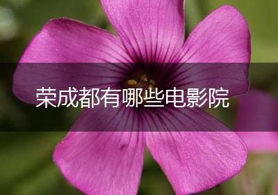 荣成都有哪些电影院