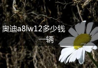 奥迪a8lw12多少钱一辆