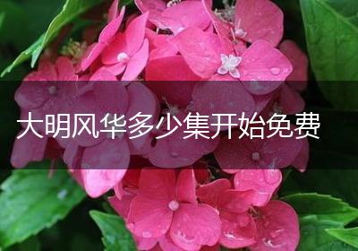 大明风华多少集开始免费