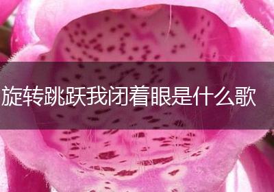 旋转跳跃我闭着眼是什么歌