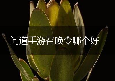 问道手游召唤令哪个好