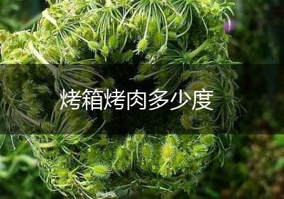 烤箱烤肉多少度