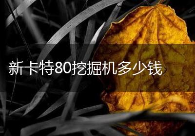 新卡特80挖掘机多少钱