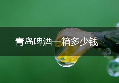 青岛啤酒一箱多少钱