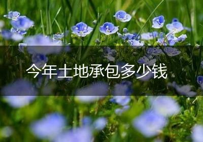 今年土地承包多少钱