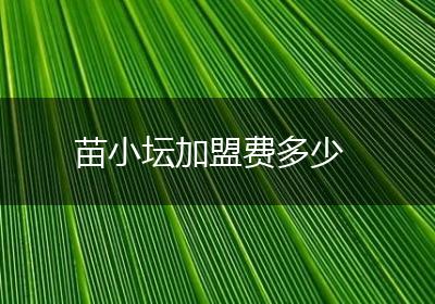 苗小坛加盟费多少