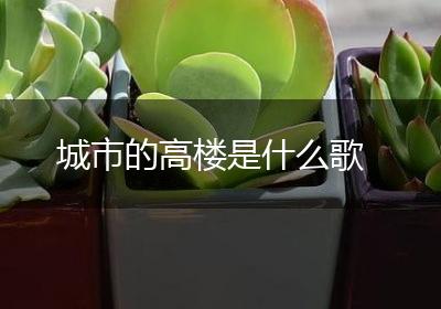 城市的高楼是什么歌