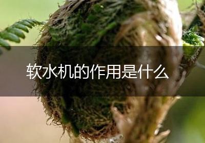 软水机的作用是什么
