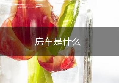 房车是什么