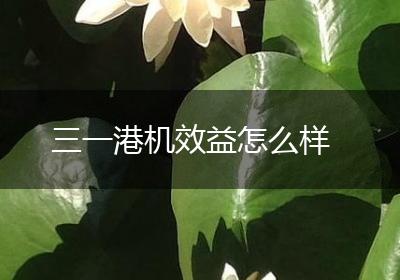 三一港机效益怎么样