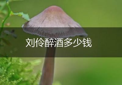 刘伶醉酒多少钱