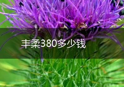 丰柔380多少钱