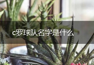 c罗球队名字是什么