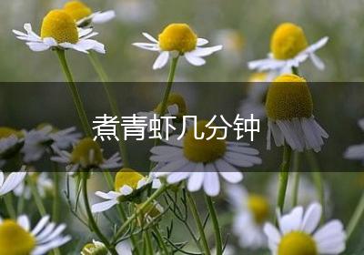 煮青虾几分钟