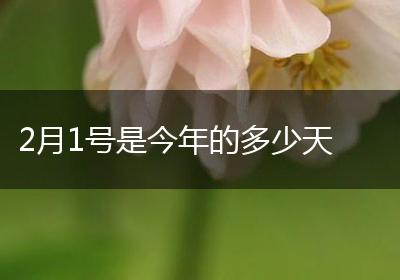 2月1号是今年的多少天