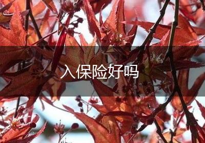入保险好吗
