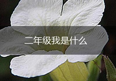 二年级我是什么