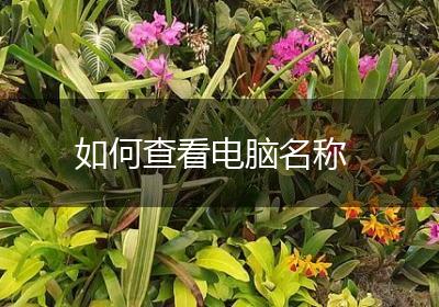 如何查看电脑名称