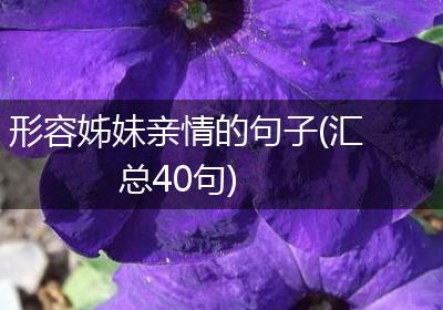 形容姊妹亲情的句子(汇总40句)
