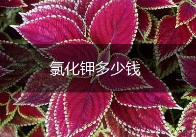 氯化钾多少钱