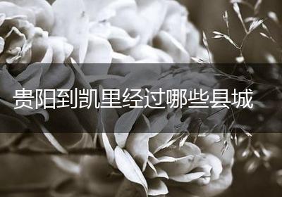 贵阳到凯里经过哪些县城