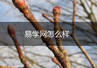 易学网怎么样