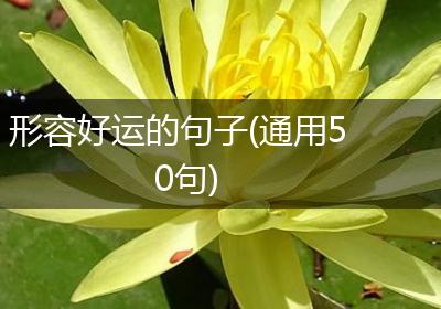 形容好运的句子(通用50句)