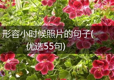 形容小时候照片的句子(优选55句)