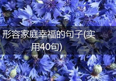 形容家庭幸福的句子(实用40句)