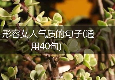 形容女人气质的句子(通用40句)