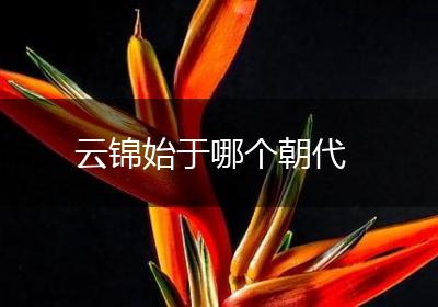 云锦始于哪个朝代