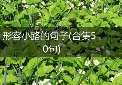 形容小路的句子(合集50句)