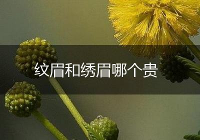 纹眉和绣眉哪个贵