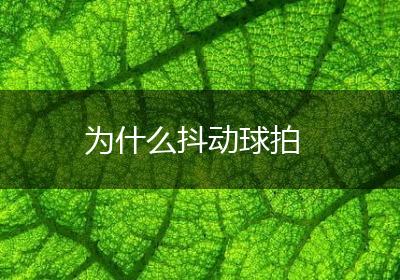 为什么抖动球拍
