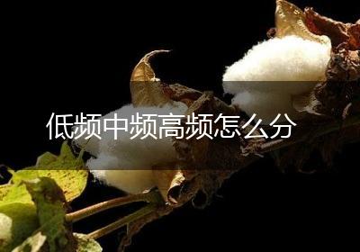 低频中频高频怎么分