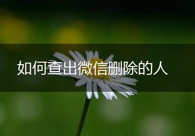 如何查出微信删除的人
