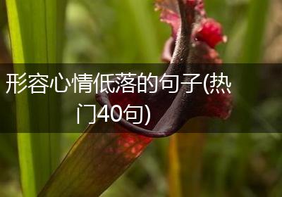 形容心情低落的句子(热门40句)