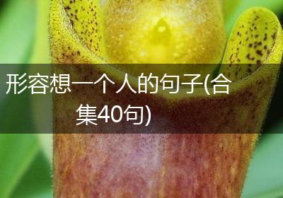 形容想一个人的句子(合集40句)